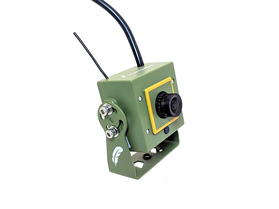 wireless bird box camera side on