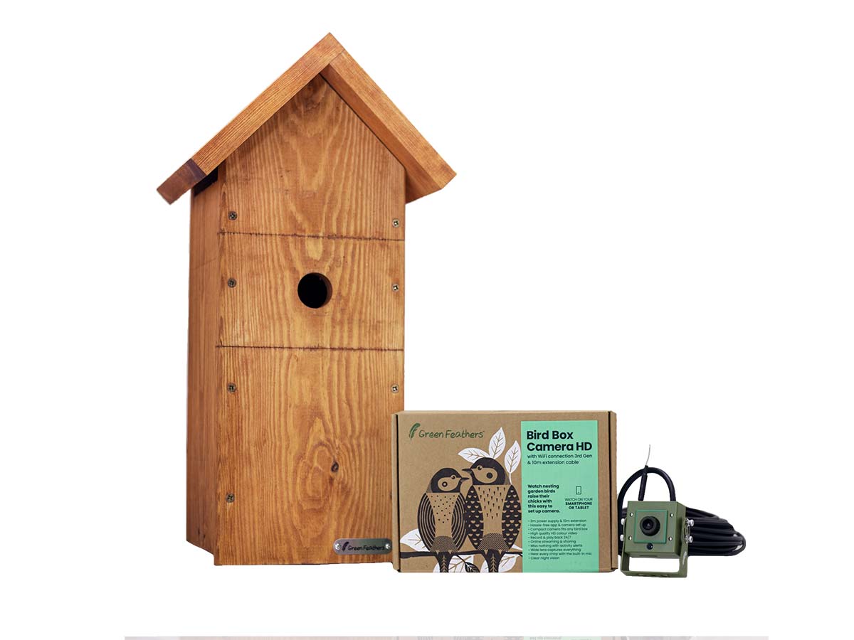 green feathers wifi bird box camera