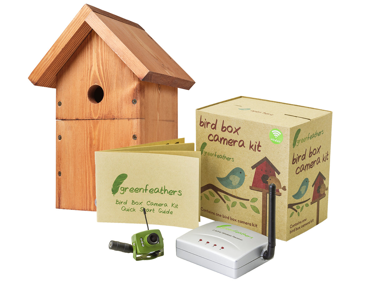 Wireless bird best sale box camera