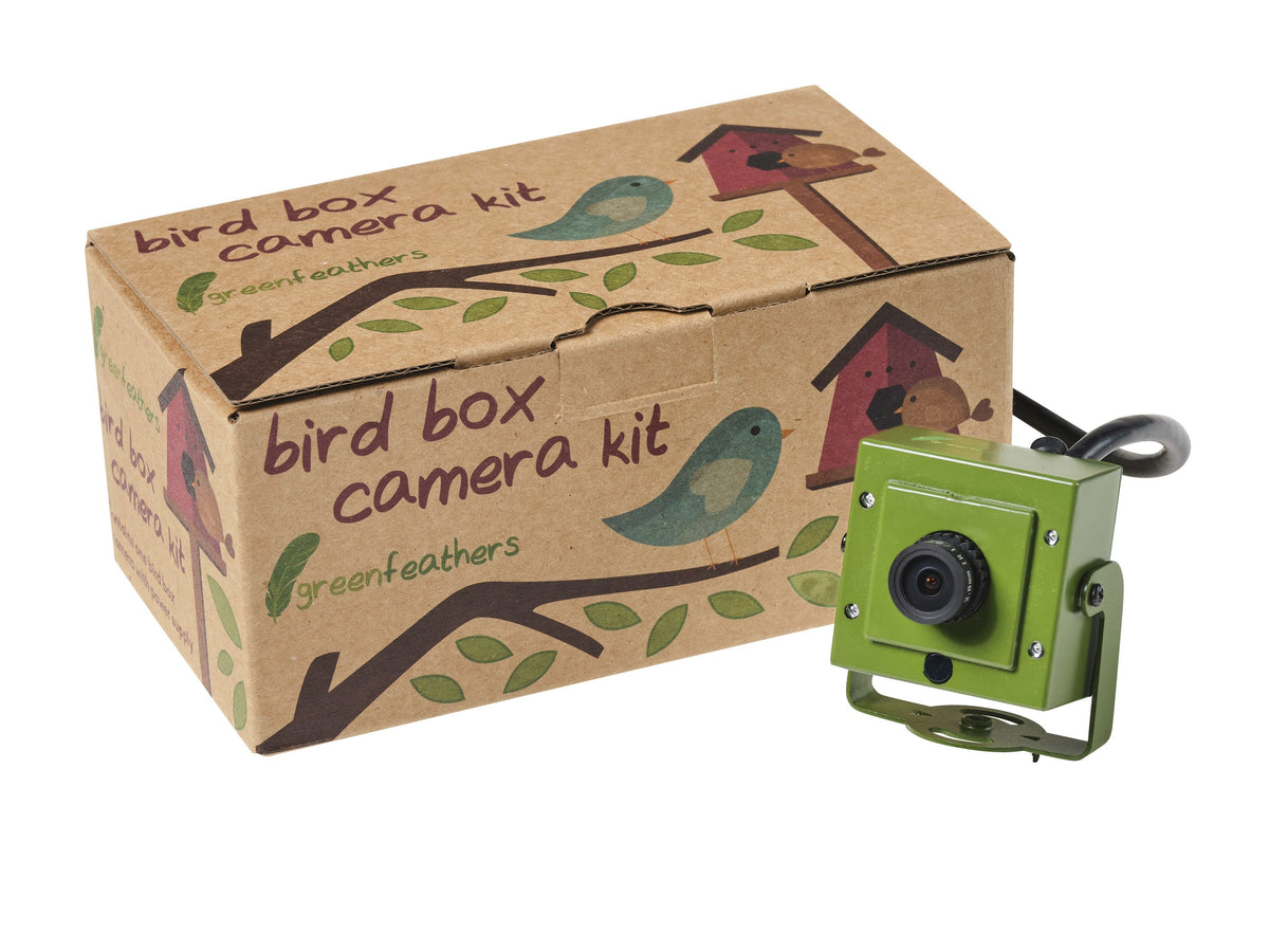 garden bird box camera